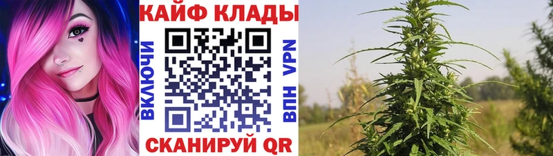 Купить наркотик аптеки Борзя mega рабочий сайт  МЕФ  ГАШИШ  Альфа ПВП 